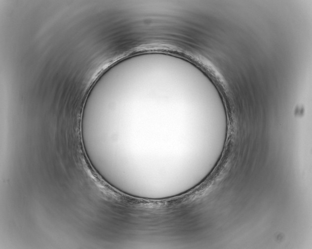 X0000094360937200711021332