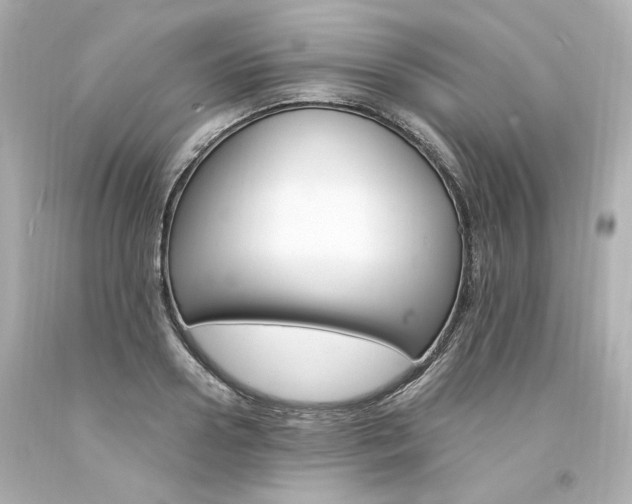 X0000094360938200711021332