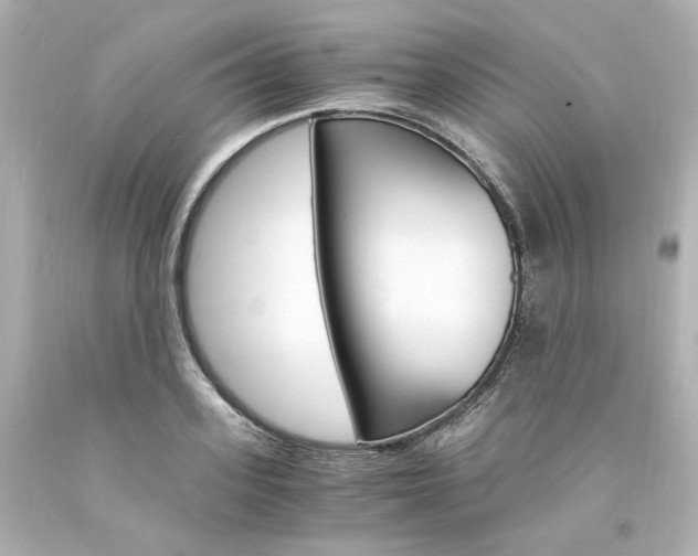 X0000094360939200711021333