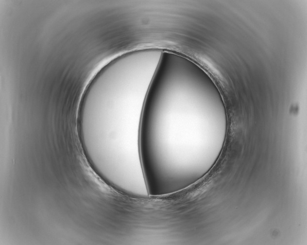 X0000094360940200711021333