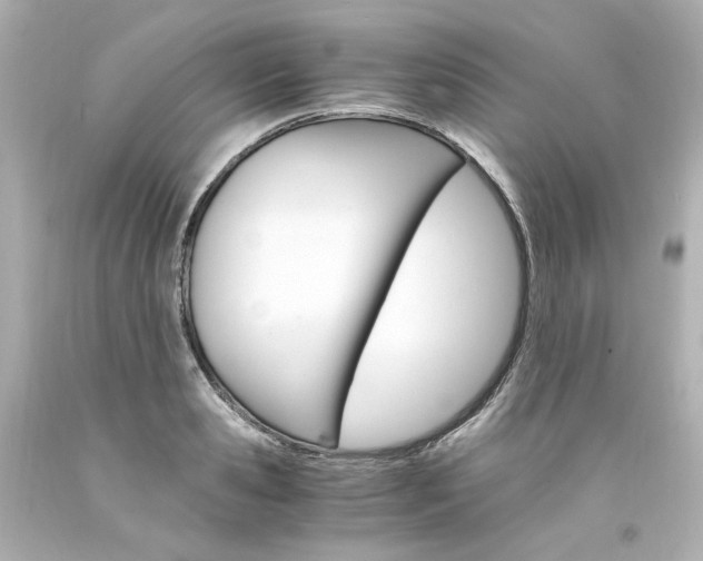 X0000094360941200711021333