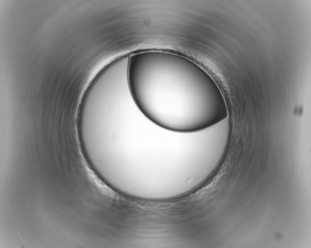 X0000094360942200711021333