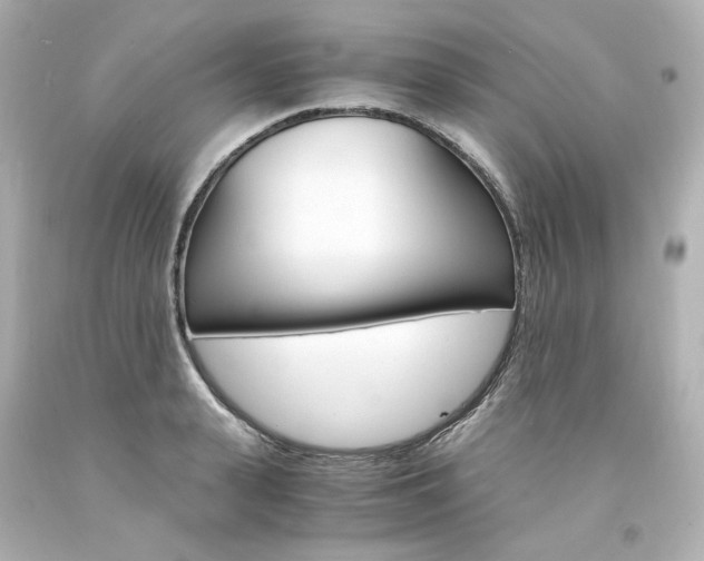 X0000094360943200711021333