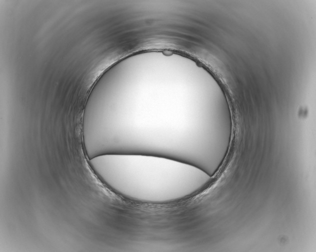 X0000094360945200711021333