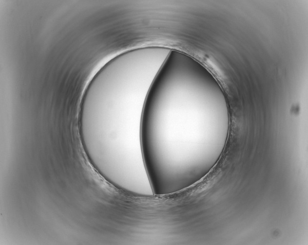 X0000094360948200711021333