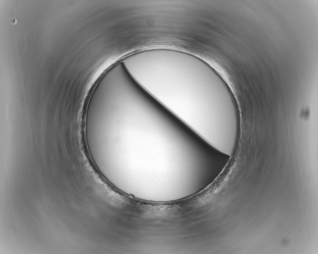 X0000094360949200711021333