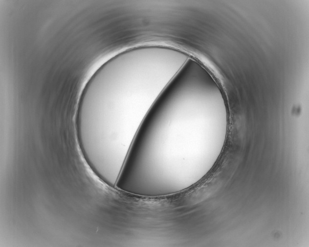 X0000094360951200711021333