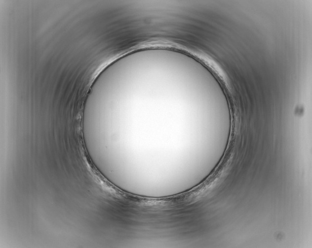 X0000094360953200711021333