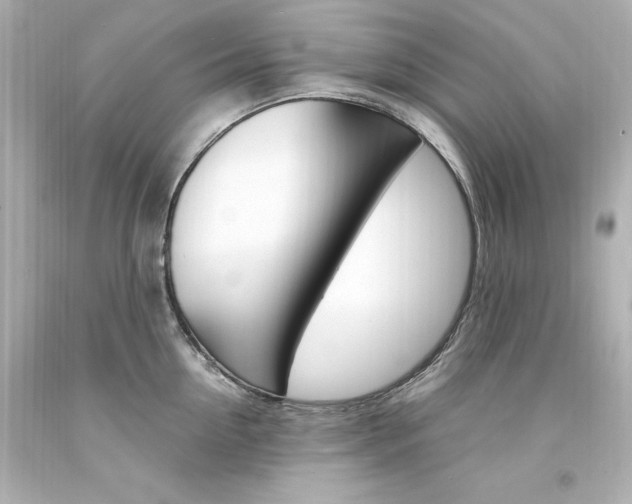 X0000094360954200711021333