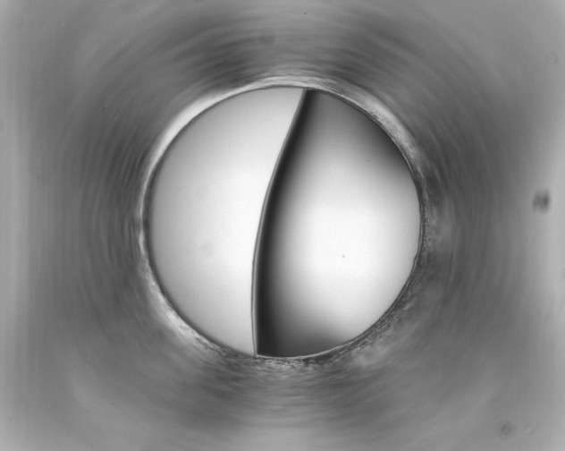 X0000094360955200711021333