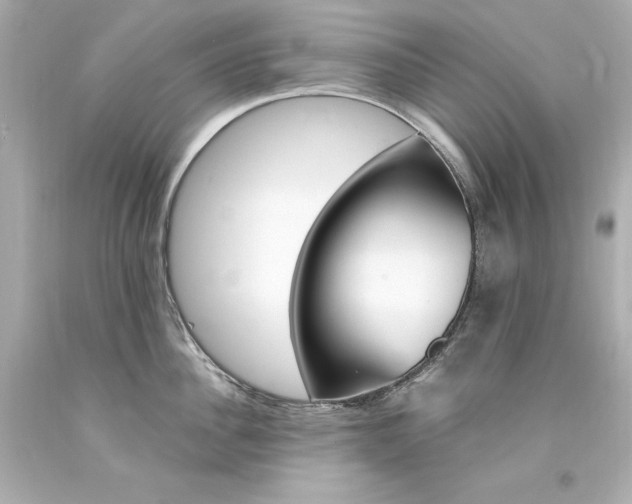 X0000094360956200711021333