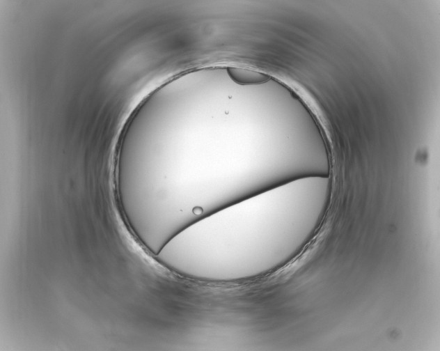 X0000094360957200711021333