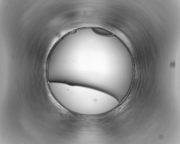 X0000094360958200711021333