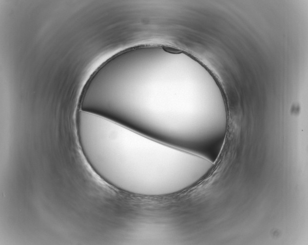 X0000094360959200711021333