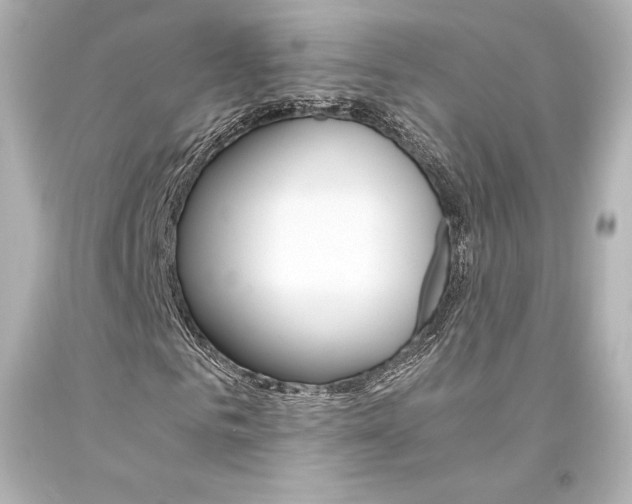 X0000094360961200711021332