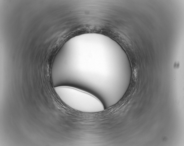 X0000094360963200711021332