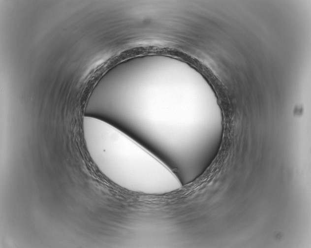 X0000094360967200711021332