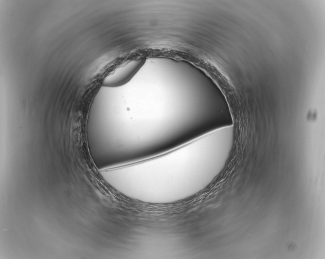 X0000094360968200711021332