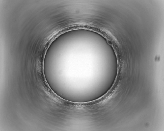 X0000094360969200711021332
