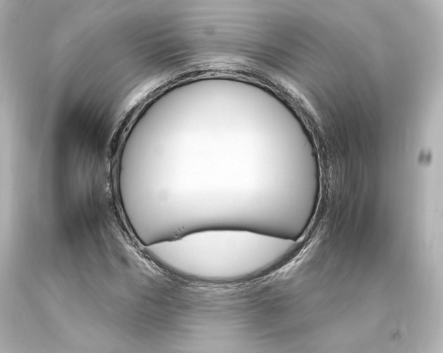 X0000094360970200711021332
