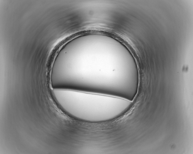X0000094360971200711021332