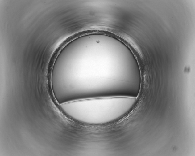 X0000094360972200711021332