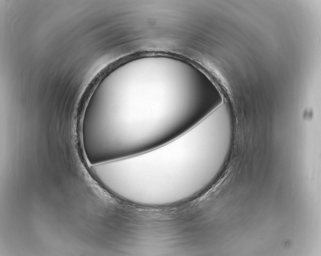 X0000094360976200711021332