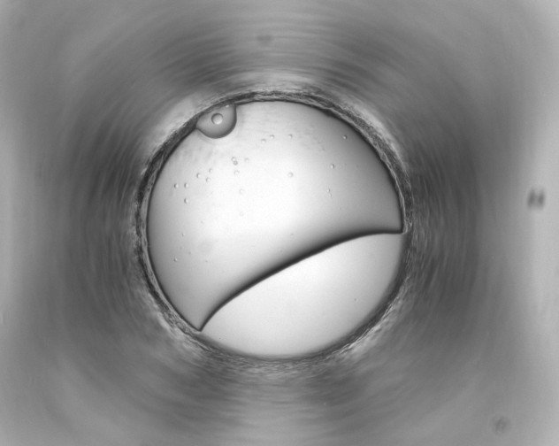 X0000094360978200711021332