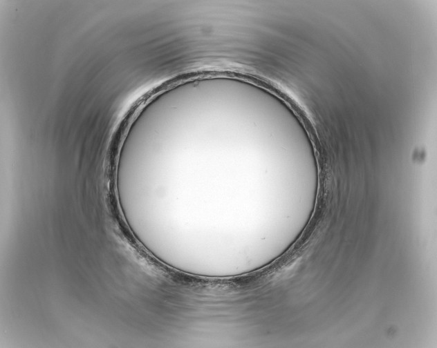 X0000094360979200711021332