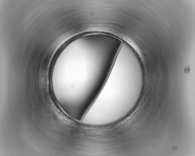 X0000094360980200711021332
