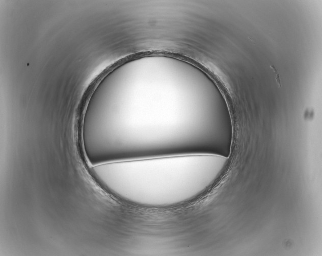 X0000094360983200711021332