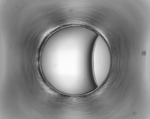 X0000094360987200711021332