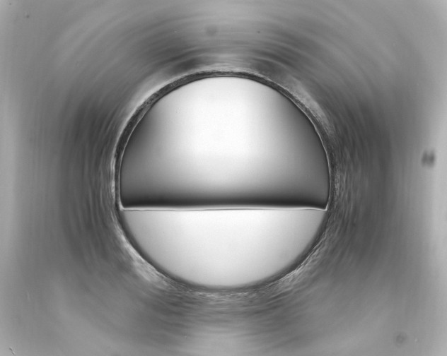 X0000094360988200711021332