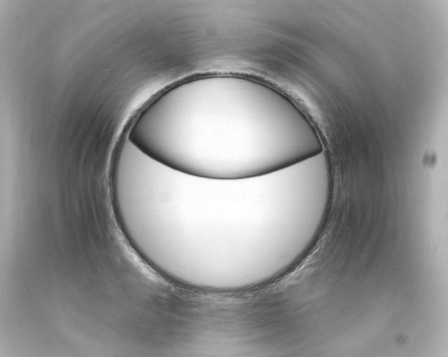X0000094360990200711021332