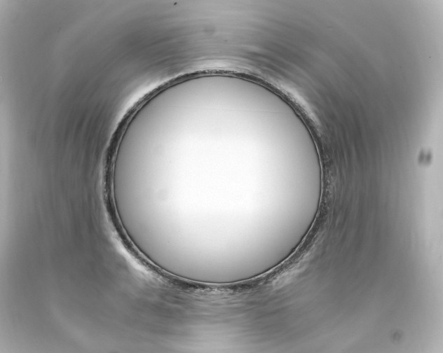 X0000094360991200711021332