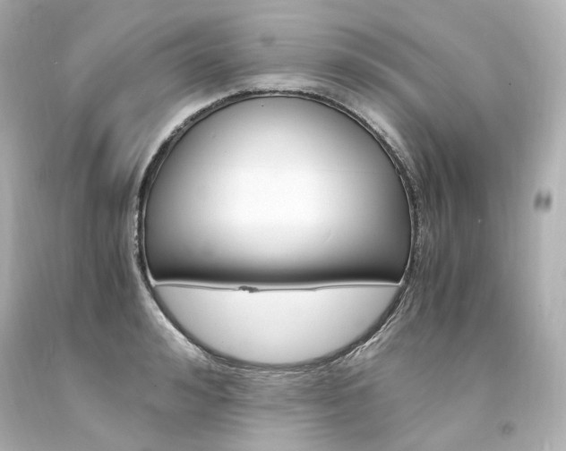 X0000094360992200711021332