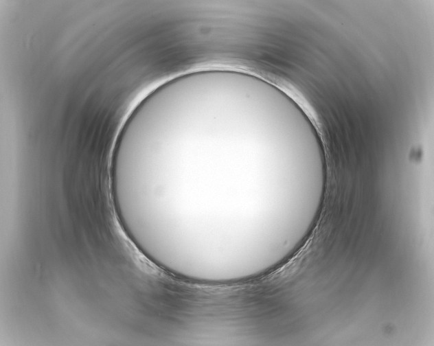 X0000094360996200711021332
