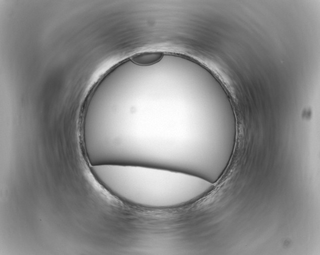 X0000094360998200711021332