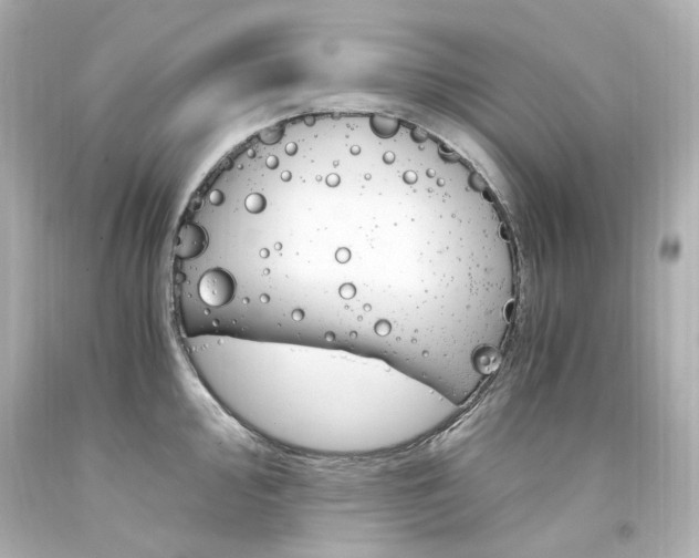 X0000094361000200711021331