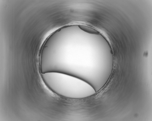 X0000094361003200711021331