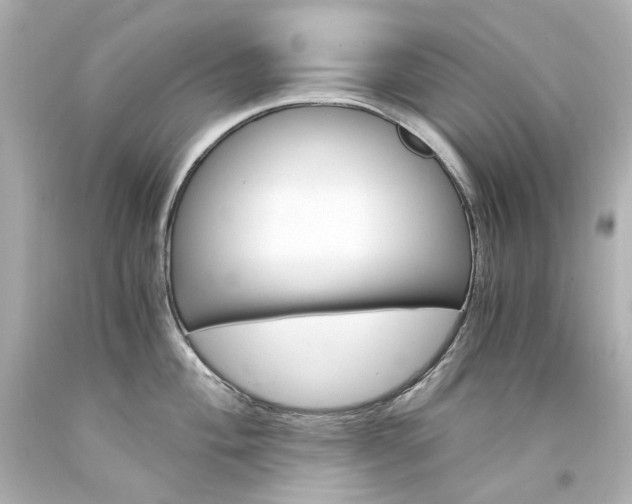X0000094361004200711021331