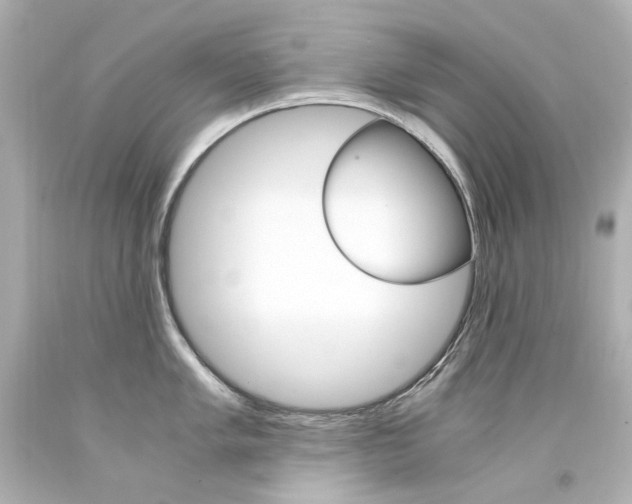 X0000094361005200711021331