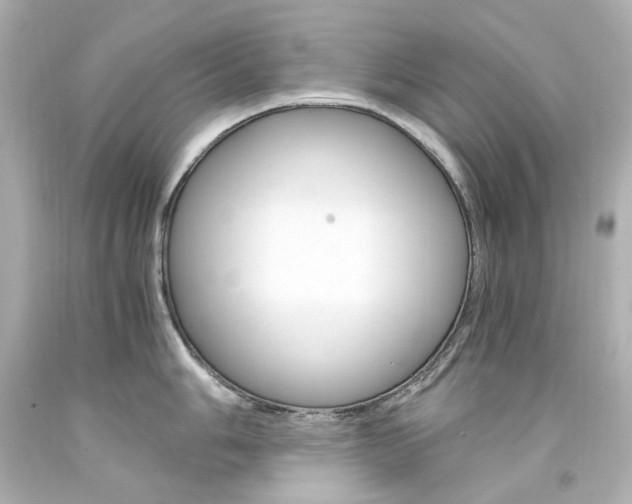 X0000094361006200711021331