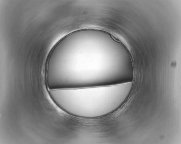 X0000094361007200711021331