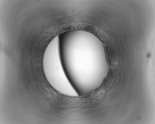 X0000094361010200711021331