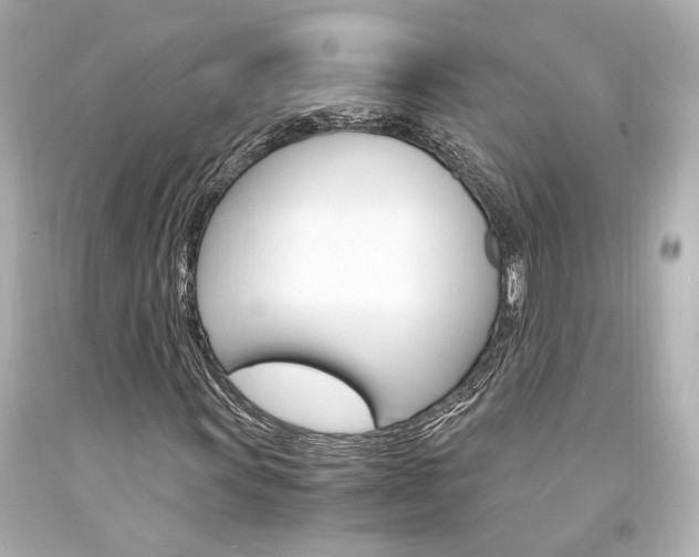 X0000094361011200711021331