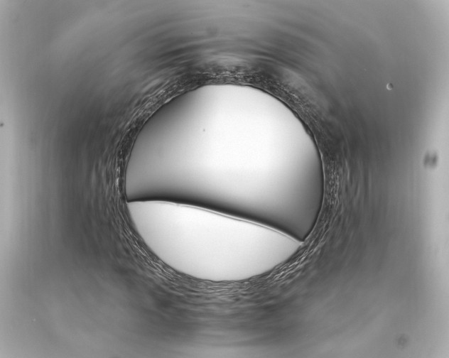 X0000094361013200711021331
