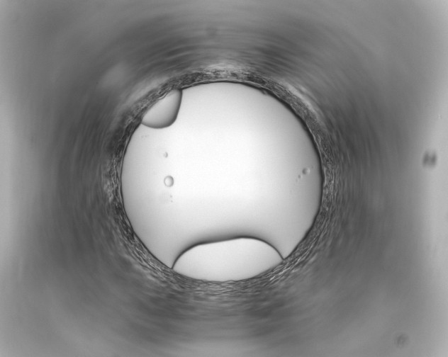 X0000094361015200711021331