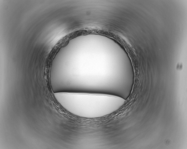 X0000094361016200711021331