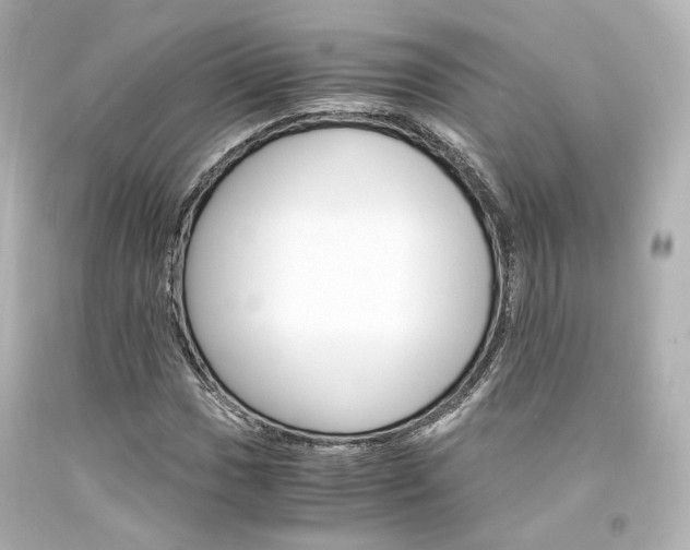 X0000094361017200711021331